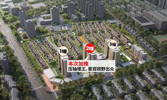 2025(万科中兴傲